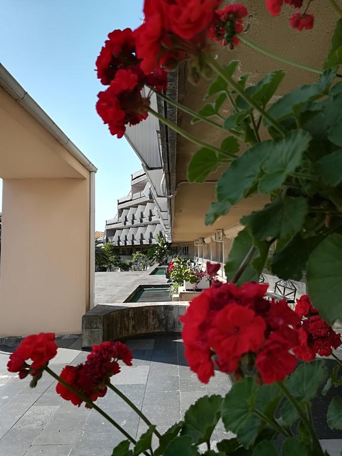 Гостиница Ива Gagra Buitenkant foto